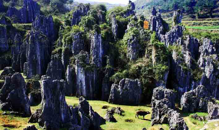 銅仁最美的10大景區：除了梵凈山之外，還有哪里值得一去？