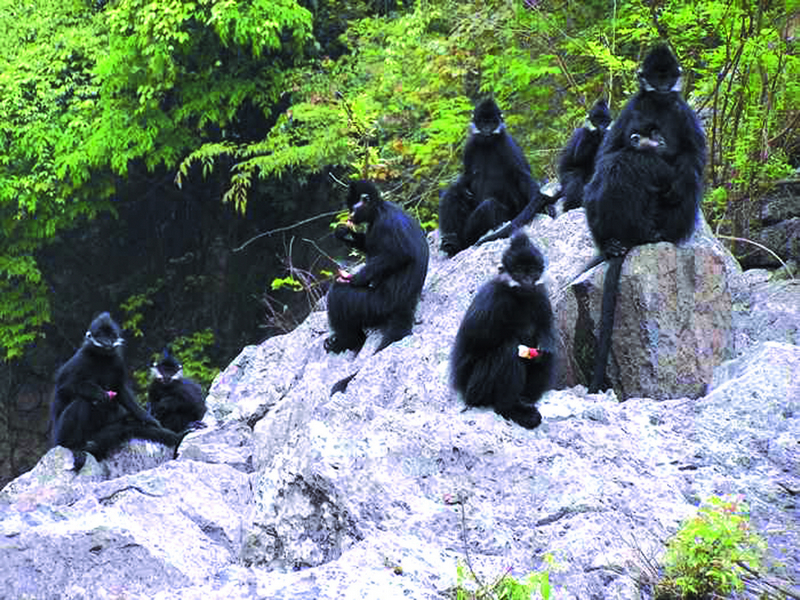 銅仁最美的10大景區：除了梵凈山之外，還有哪里值得一去？